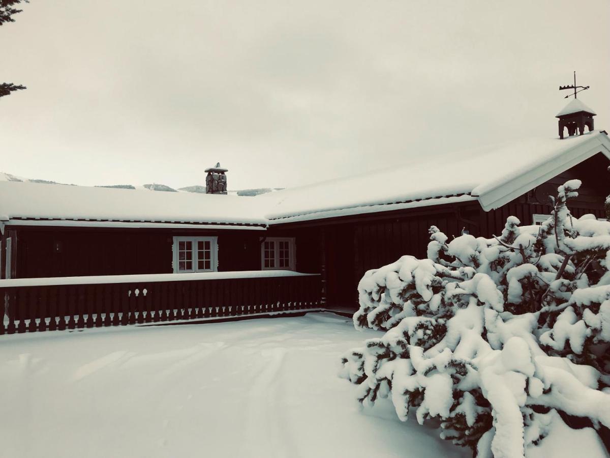 Vestlia Ski Geilo Bagian luar foto